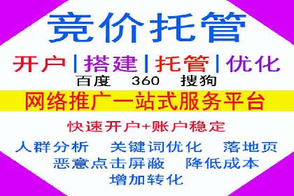 竞价排名在电商行业的实战案例